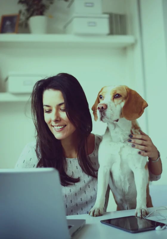 We know the price of happiness in the office - all it takes is one dog