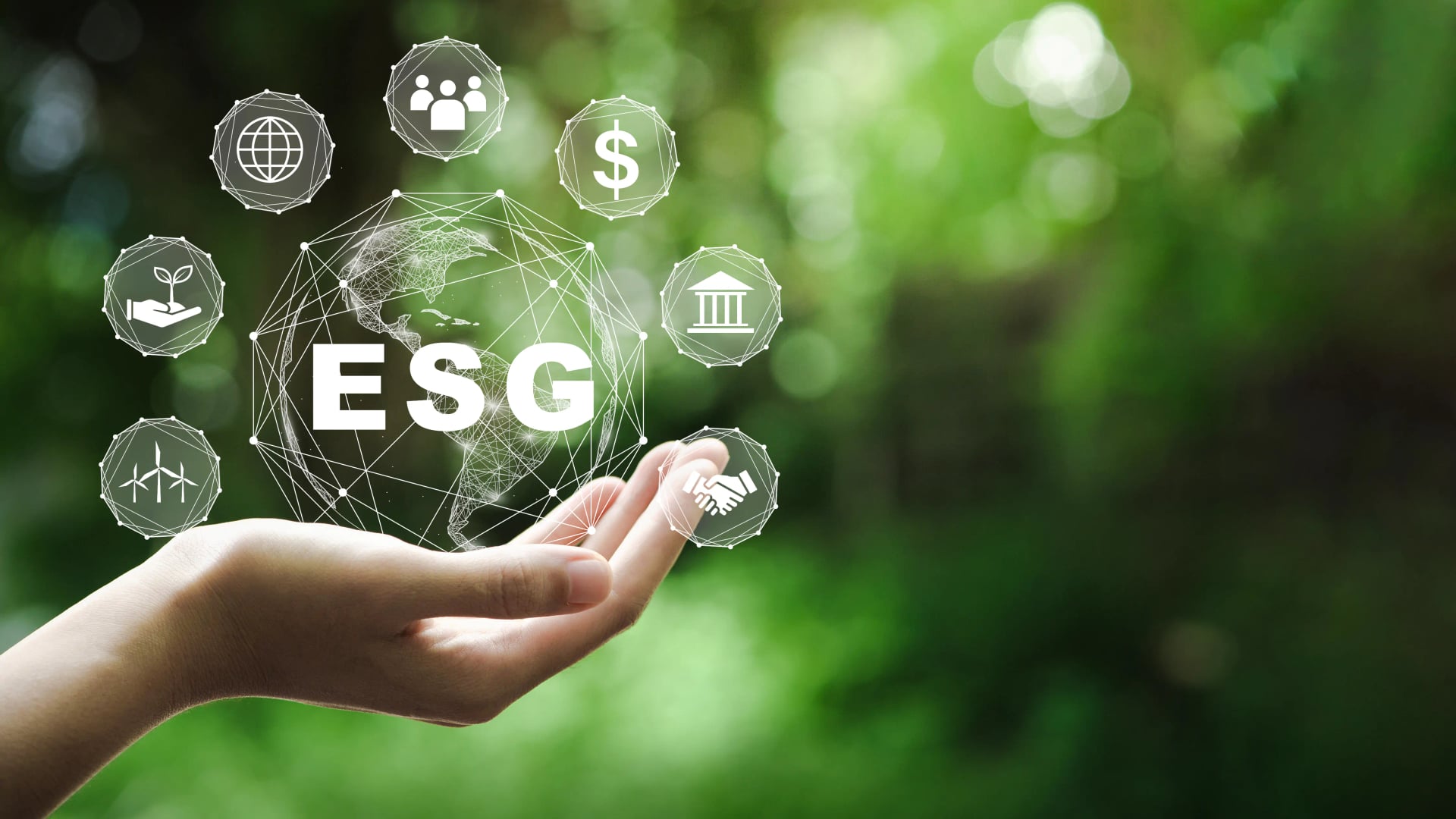 More than 1,500 vacancies for ESG specialists in 2024