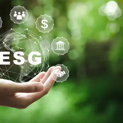Ponad 1500 wakatów dla specjalistów ESG w 2024 roku